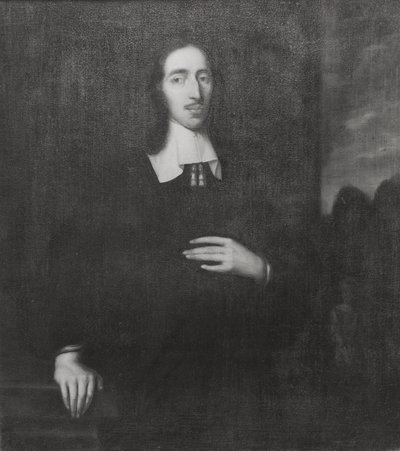 Portrait of Johan de Witt by Caspar Netscher